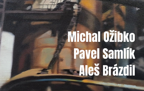 Michal Ožibko, Pavel Samlík, Aleš Brázdil