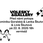 Před námi potopa, VOLESKY&GALLERY