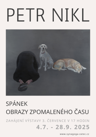 Spánek. Obrazy zpomaleného času ~ Petr Nikl