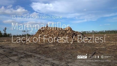 Lack of Forest ~ Martyna Miller
