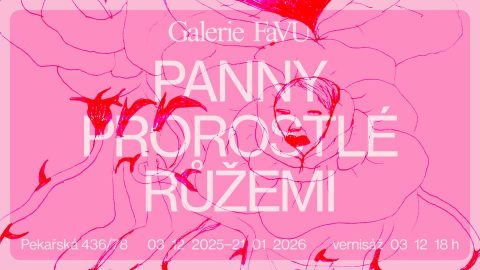 Panny prorostlé růžemi ~ Jan Sláma