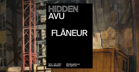 Flâneur ~ Martin Mlateček