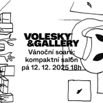 Vánoční soaré: Kompaktní salón, VOLESKY&GALLERY