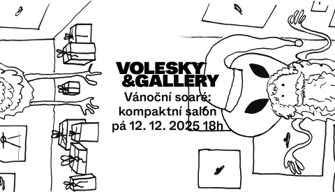 Vánoční soaré: Kompaktní salón ~ Ivo Škuta