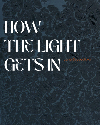 How the Light Gets in ~ Jana Svobodová