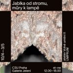 Jablka od stromu, můry k lampě