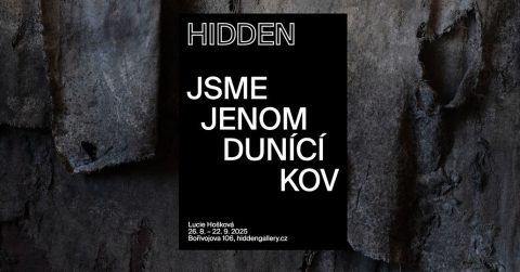 Jsme jenom dunící kov ~ Lucie Hošková