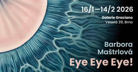 Eye Eye Eye! ~ Barbora Maštrlová