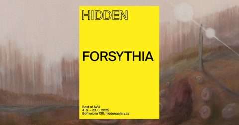 Forsythia