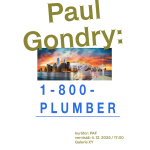 Paul Gondry: 1-800 PLUMBER, Galerie XY