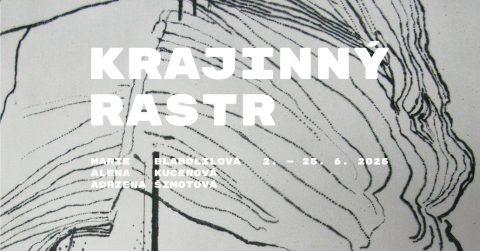 Krajinný rastr ~ Adriena Šimotová