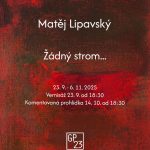 Žádný strom…