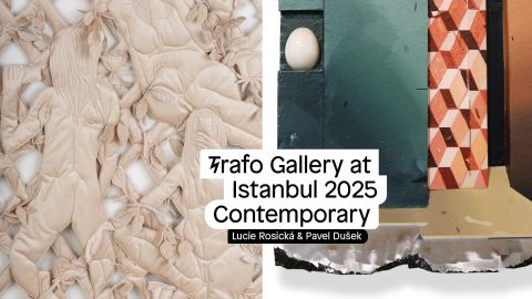 Pavel Dušek, Lucie Rosická – Contemporary Istanbul 2025