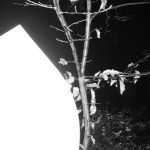 Proces, Ateliér Josefa Sudka