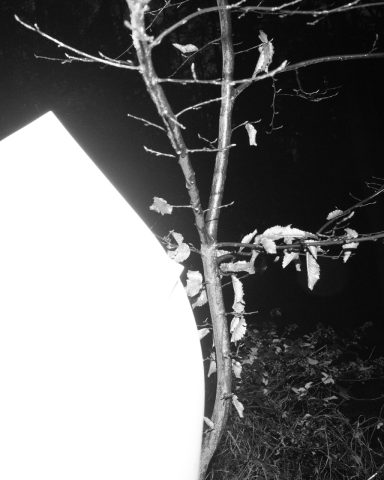 Proces ~ Mojmír Bureš