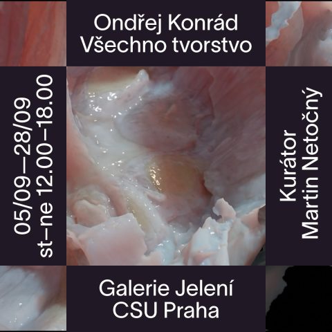 Všechno tvorstvo ~ Ondřej Konrád