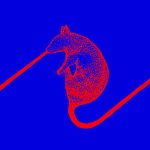 The Dwarfs of East Agouza (Egypt, Kanada, USA), Punctum