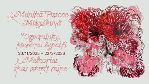 Vzpomínky, které mi nepatří ~ Monika Pascoe Mikyšková