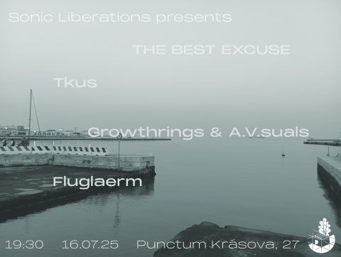 Sonic Liberations & BRUITAL TOURING BOX #IV: THE BEST EXCUSE, Tkus, Growthrings/A.V.suals, Fluglaerm