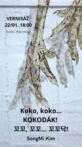 Koko, koko… KOKODÁK! 꼬꼬, 꼬꼬… 꼬꼬닥!