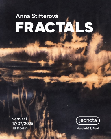 Fractals