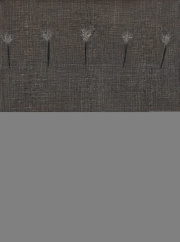 Odposlouchávat ticho ~ Anežka Kovalová