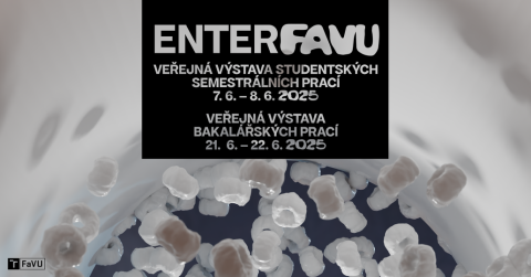 Enter FaVU