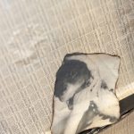 Scars and Other Fragments, Ateliér Josefa Sudka