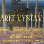 Jan Kostohryz, Matouš Lipus, Filip Nádvorník, SPOT Gallery