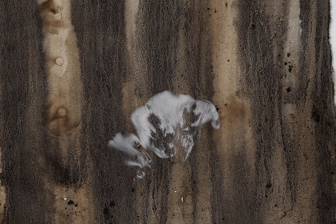 Becomming Fungal ~ Marie Ladrová