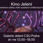 Kino Jelení, Centrum pro současné umění Praha