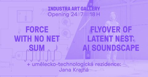 Force with No Net Sum / Flyover of Latent Nest: AI Soundscape ~ Emilia González Salgado