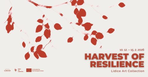 Harvest of Resilience ~ Thomas Ruff