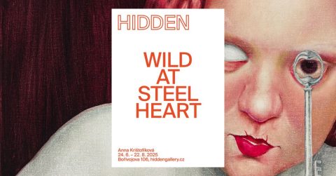Wild at Steel Heart ~ Anna Krištofíková