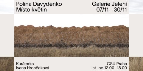 Místo květin ~ Polina Davydenko