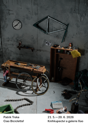 Ciao Biciclette! ~ Patrik Trska