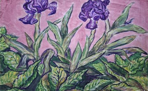 Obrazy, slova, kosatce ~ Pavel Brázda