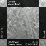 Dorota Václavíková: Po dešti, Galerie Jelení