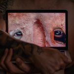 Monster Manifesto, Screen Saver Gallery