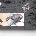 Blocked drain, Galerie SPZ