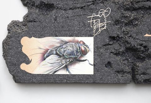 Blocked drain ~ Pavel Petřík