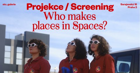 projekce / screening: Who makes Places in Spaces? ~ Nelly Ben Hayoun-Stépanian, Larissa Sansour