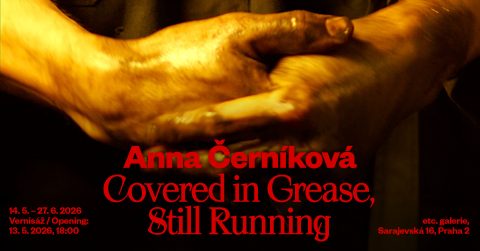 Anna Černíková: Covered in Grease, Still Running ~ Anna Černíková