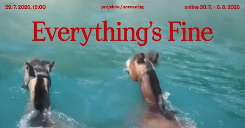 etc. projekce / Everything’s Fine ~ Johana Novotná, Martins Kohout, Anna Kryvenko, Tara. Šelířová