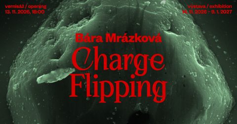 Bára Mrázková: 𝘾𝙝𝙖𝙧𝙜𝙚 𝙁𝙡𝙞𝙥𝙥𝙞𝙣𝙜 ~ Bára Mrázková