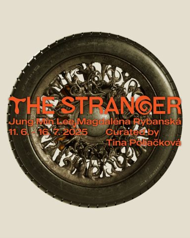 The Stranger ~ Jung Min Lee