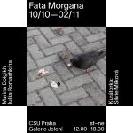 Fata Morgana, Galerie Jelení