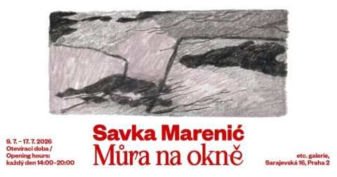 Savka Marenić: Můra na okně