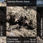 Gabriela Benish-Kalná: Mladý zemědělec, Galerie Jelení