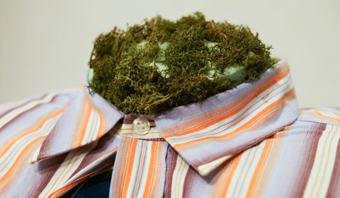 Marcel Korec – Thank you ~ Marcel Korec